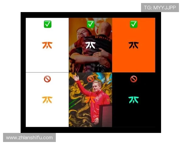 Fnatic战队荣登电竞巅峰一路披荆斩棘成就传奇辉煌 Fnatic战队荣登电竞巅峰一路披荆斩棘成就传奇辉煌