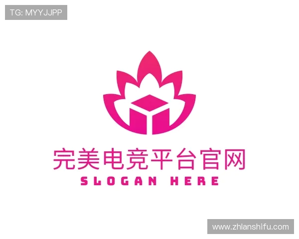 了解完美电竞